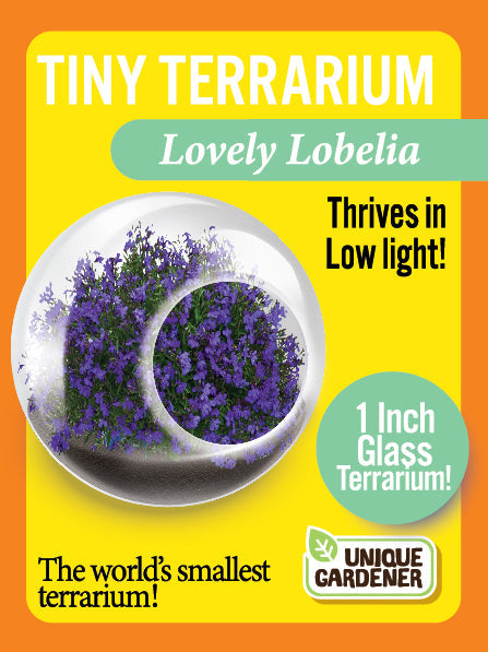 Flowering Tiny Terrariums Bundle - 1 each of 6 Varieties