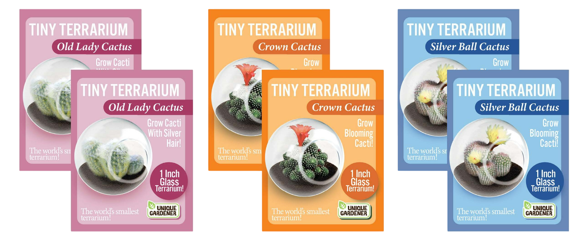 Flowering Cacti Tiny Terrariums Bundle - 2 each of 3 Varieties