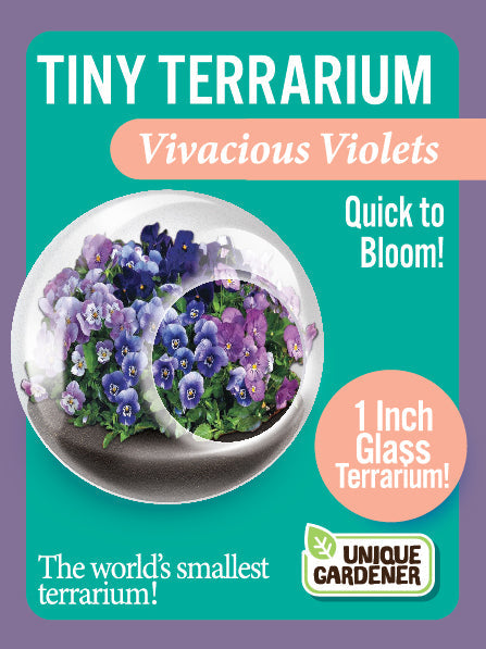 Flowering Tiny Terrariums Bundle - 1 each of 6 Varieties